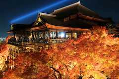 京都の世界承継の清水寺のライトアップ